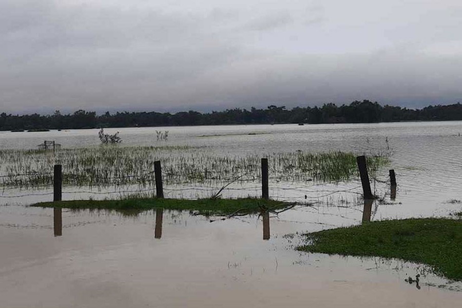 A fish farm in Habiganj was badly hit as it was submerged by the recent floods