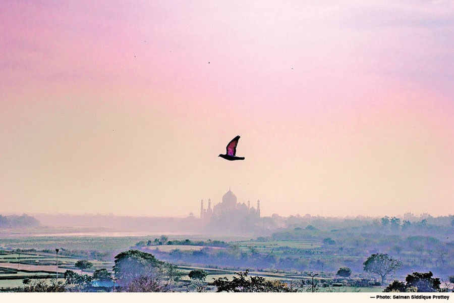 Salman Siddique Prottoy