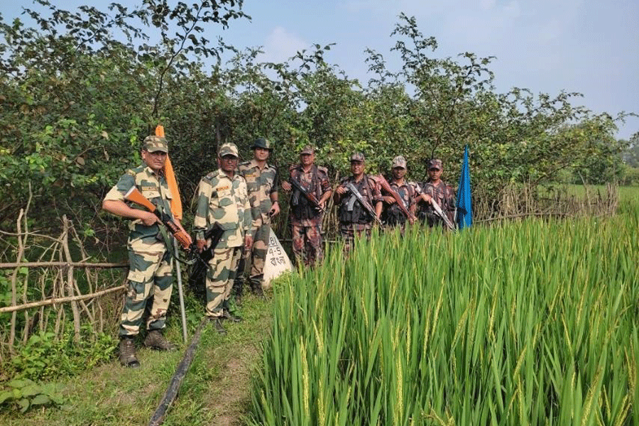 A flag meeting was held on Saturday evening between the BGB and the BSF.