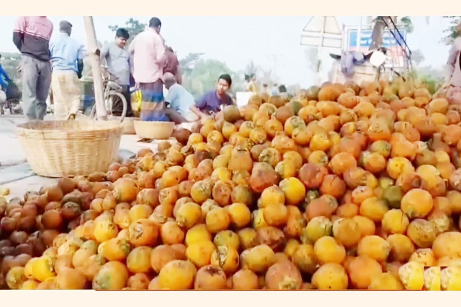 Traders busy selling betel nut at a market in Kachua upazila of Bagerhat district