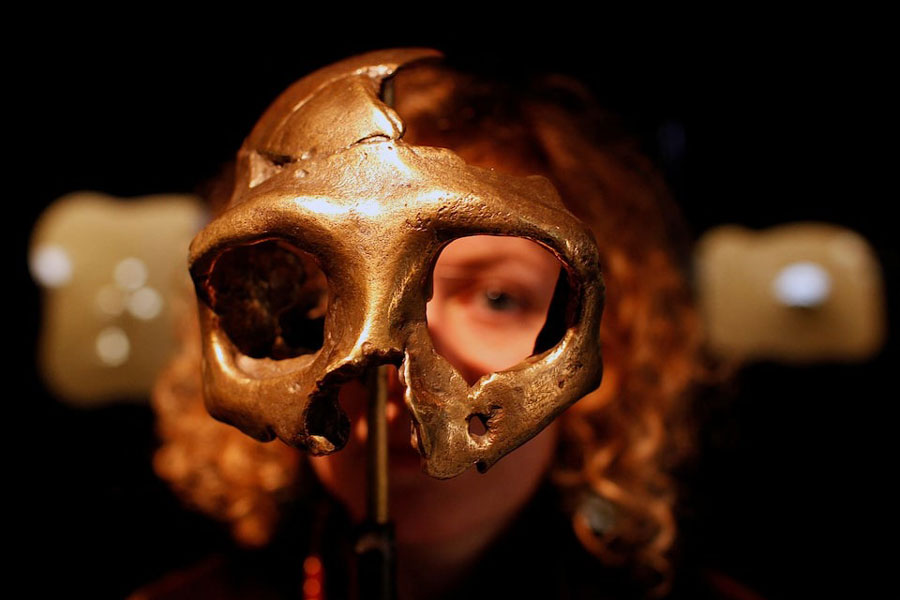 A girl looks through the replica of a Neanderthal skull displayed in the new Neanderthal Museum in the northern Croatian town of Krapina February 25, 2010.