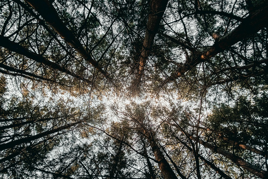 Representational image