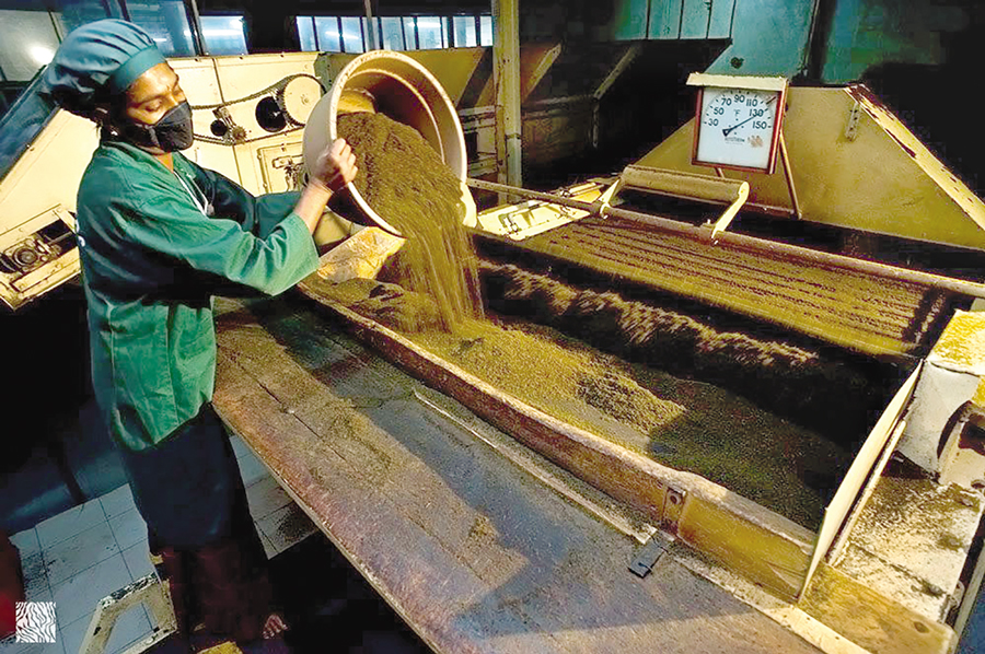 A worker inside a tea factory —Collected photo