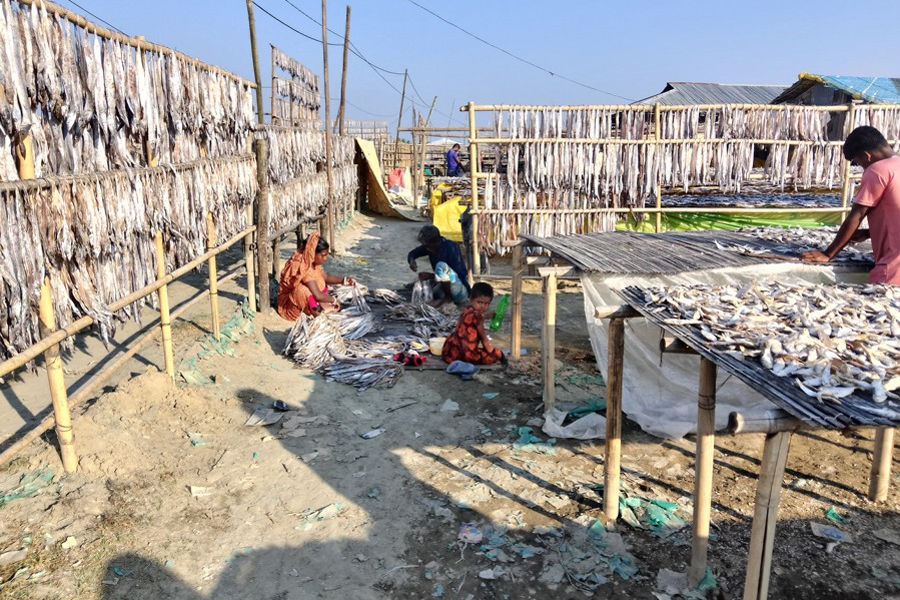 Workers busy at a dried fish processing unit in the coastal district Cox's Bazar - FE Photo