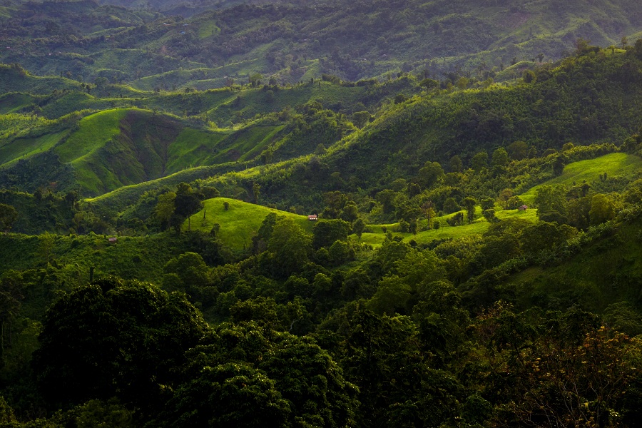 Representational image