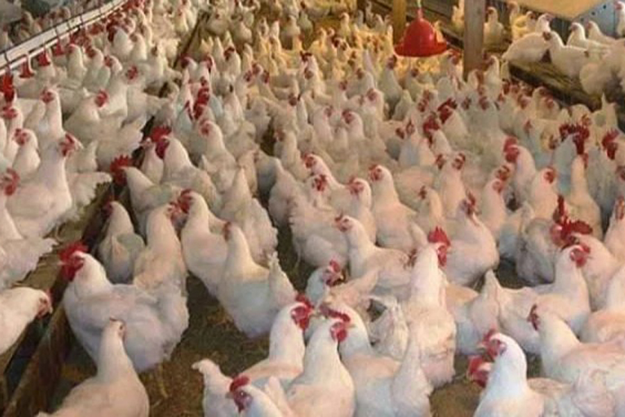 Representational photo