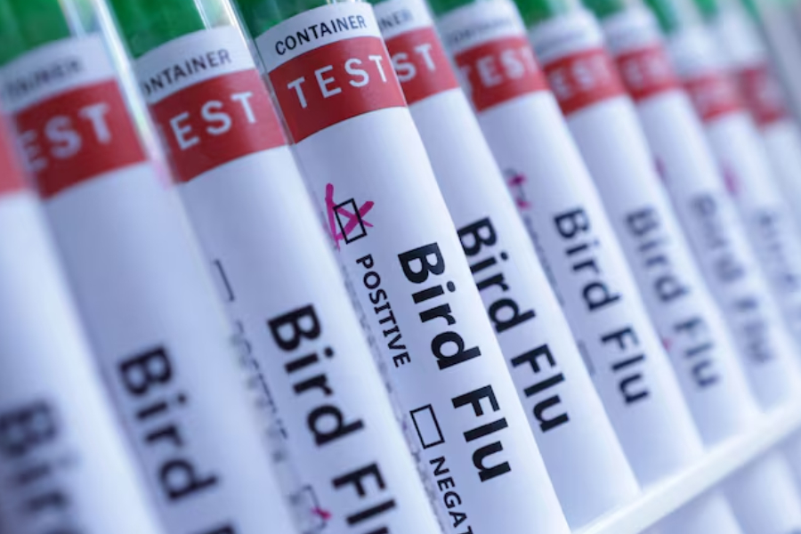 Test tubes are seen labelled "Bird Flu" words in this illustration taken, June 10, 2024.