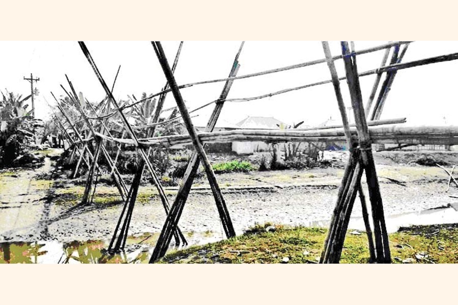 Photo shows a bamboo-made bridge over a canal at Moidhyochar village in Haimchar upazila of Chandpur district — FE Photo