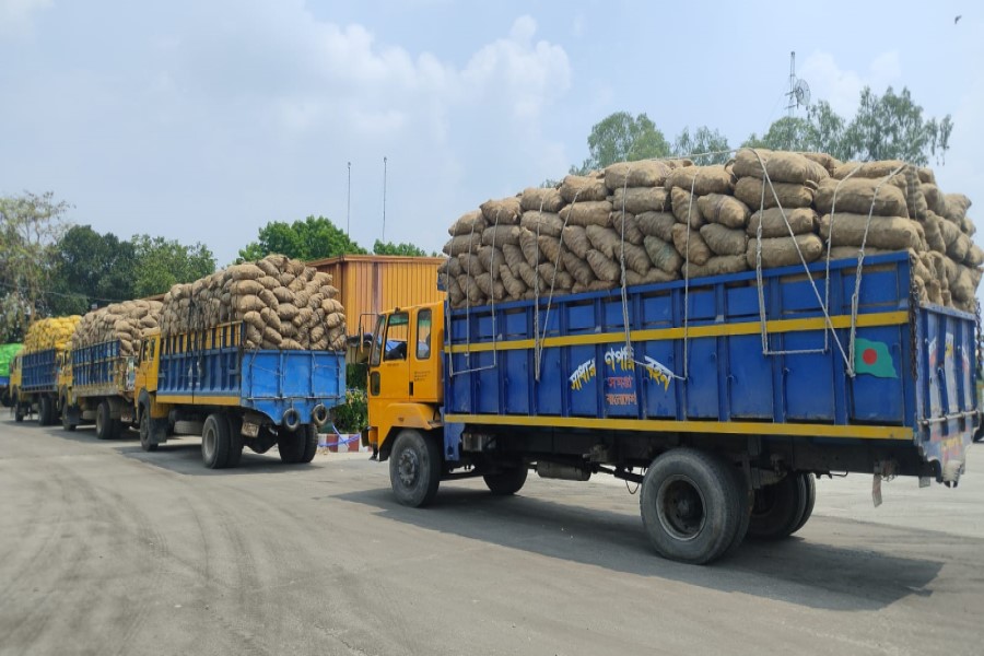 ফাইল ছবি।