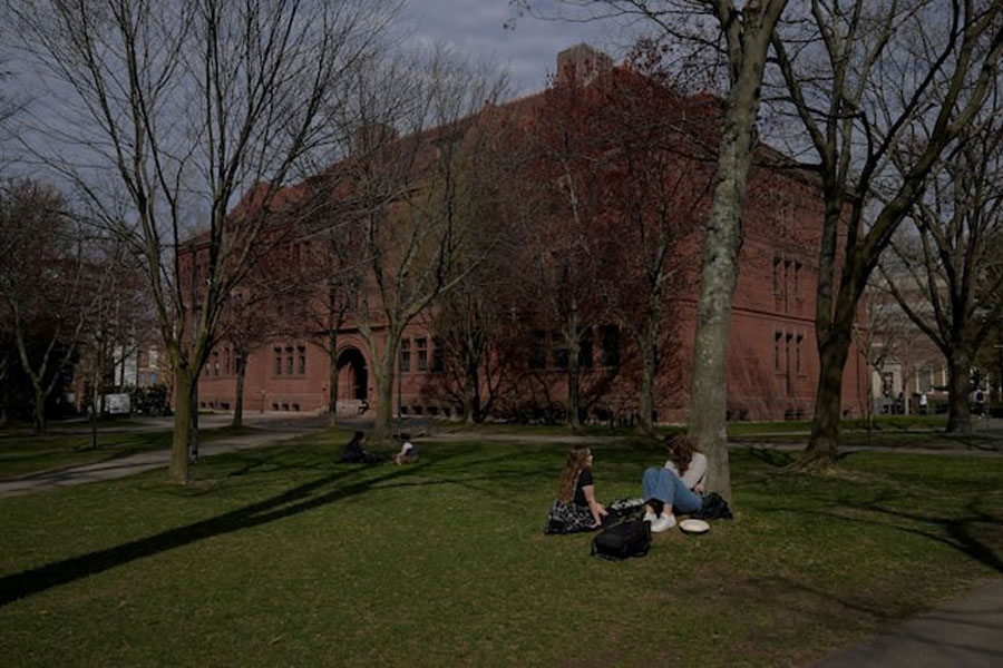 People sit on the grass at the campus of Harvard University in Cambridge, Massachusetts, US, April 15, 2025.