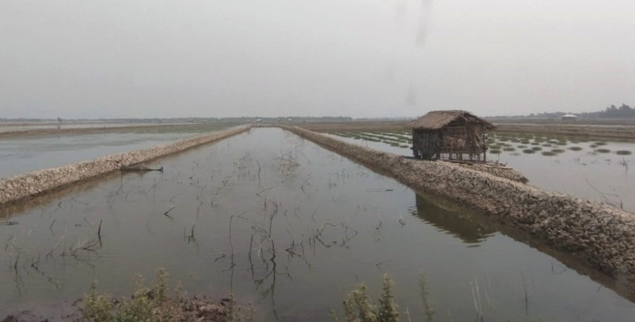 the-financial-express-saline-water