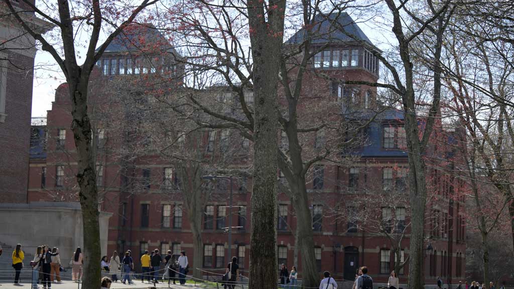 Students gather on the campus of Harvard University in Cambridge, Massachusetts, US, April 15, 2025. REUTERS