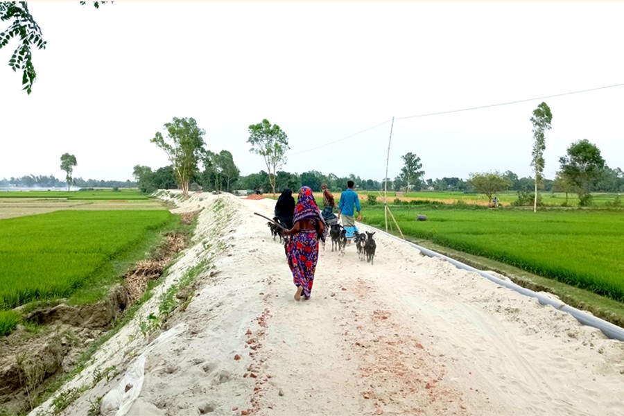 Photo shows the 2.5-kilometre road from Bachamara Bazar to Amtoli in Daulatpur upazila of Manikganj district