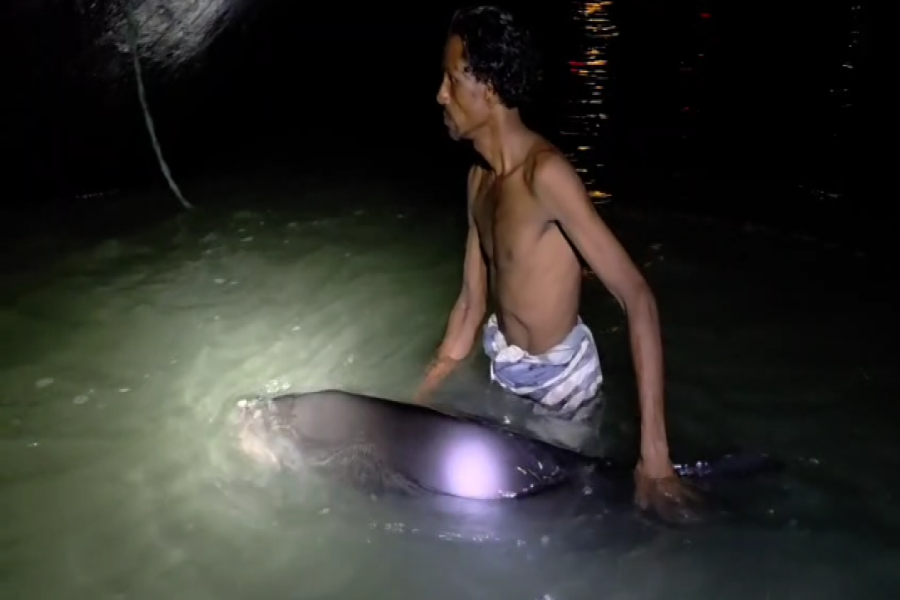 ফাইল ছবি।