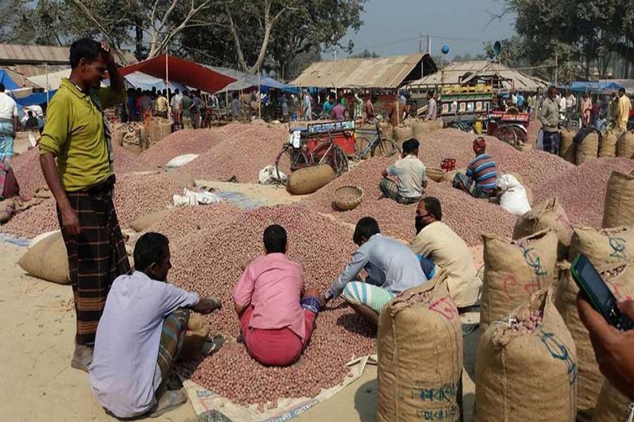 Labourers sorting potato before packaging at Kalai of Joypurhat on Wednesday. — FE Photo