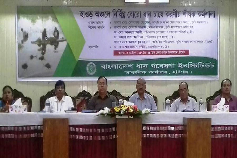 Workshop on risk-free Boro farming in haor region, organised by Bangladesh Rice Research Institute (BRRI), Habiganj regional centre, in progress at the auditorium of Sylhet district council office on Sunday. — FE Photo