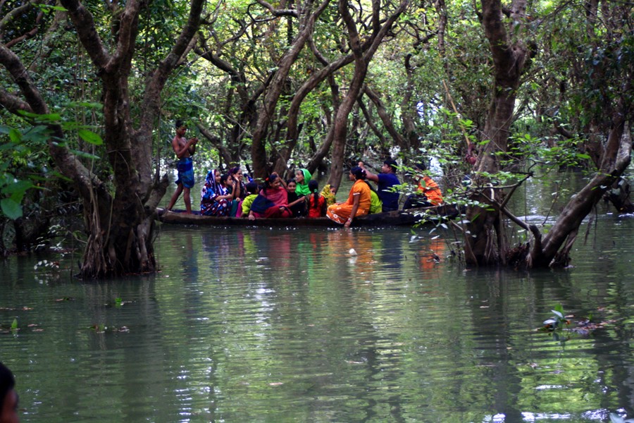 Ratargul freshwater swamp forest. — FE Photo