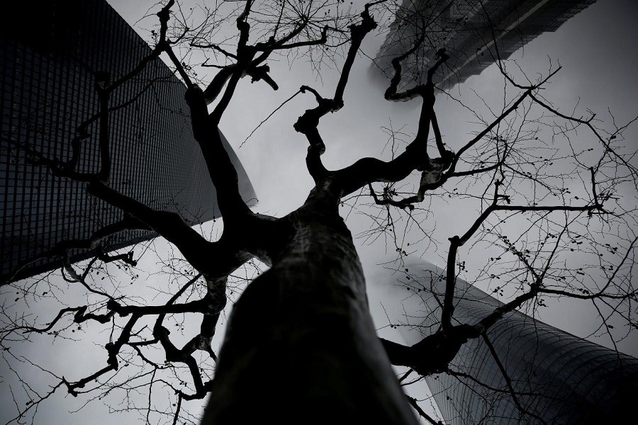 Skyscrapers Shanghai Tower (L), Jin Mao Tower (Top) and Shanghai World Financial Center are seen during a hazy day at the financial district of Pudong in Shanghai, China March 20, 2017. Reuters/File Photo