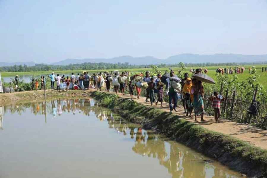 Rohingya refugees cross the border into Bangladesh. —Credit: Olivia Headon, UN Migration Agency (IOM), 2017.