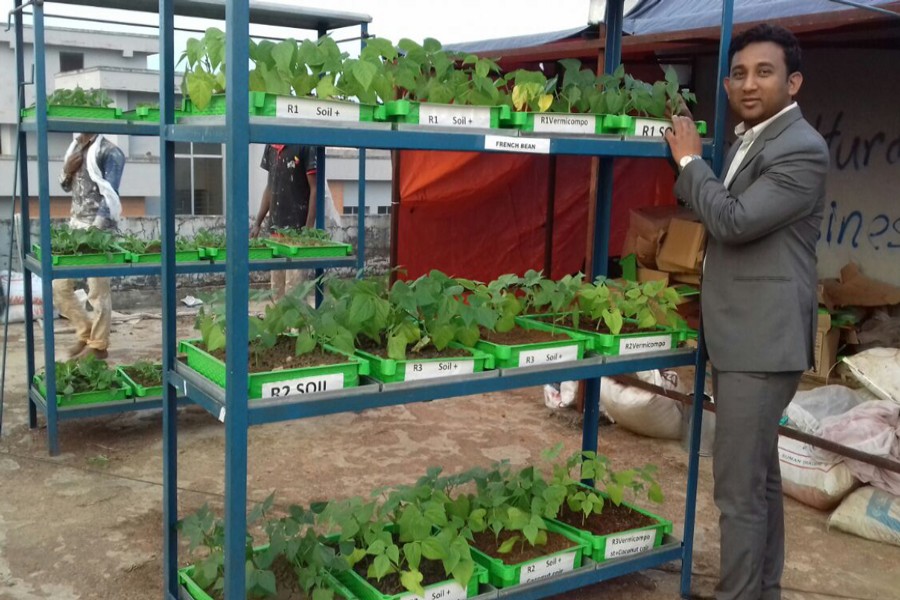 Dr Fuad Mandal of Sylhet Agricultural University shows some demonstration trays of lettuce at a rooftop garden of the university building. The photo was taken on Sunday. — FE Photo