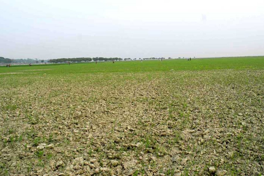 A partial view of the dry riverbed of the Padma in Rajshahi. The photo was taken on Thursday. — FE Photo