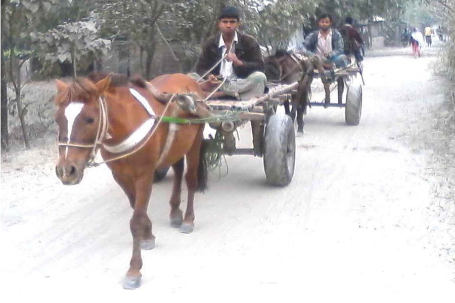 RANGPUR: Horse carts ply Char Thakurdas under Kawnia upazila on Sunday. — FE Photo