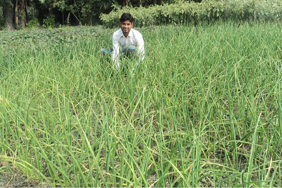 A farmer sitting in a pensive mood in his field in Dakaher village under Dupchanchia upazila of Bogra on Wednesday — FE Photo