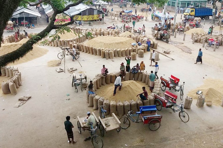 Boro on sale at a wholesale rice market at Dhaphat in Bogura on Sunday — FE Photo