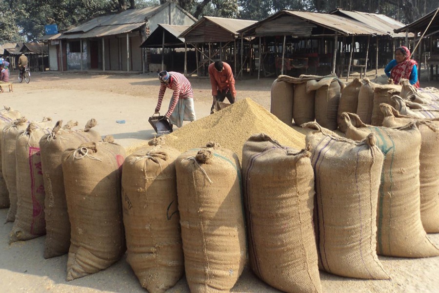 JOYPURHAT: The wholesalers of Boro Tara area under Khetlal upazila of Joypurhat district purchasing paddy from the peasants for sale to buyers from other districts — FE Photo