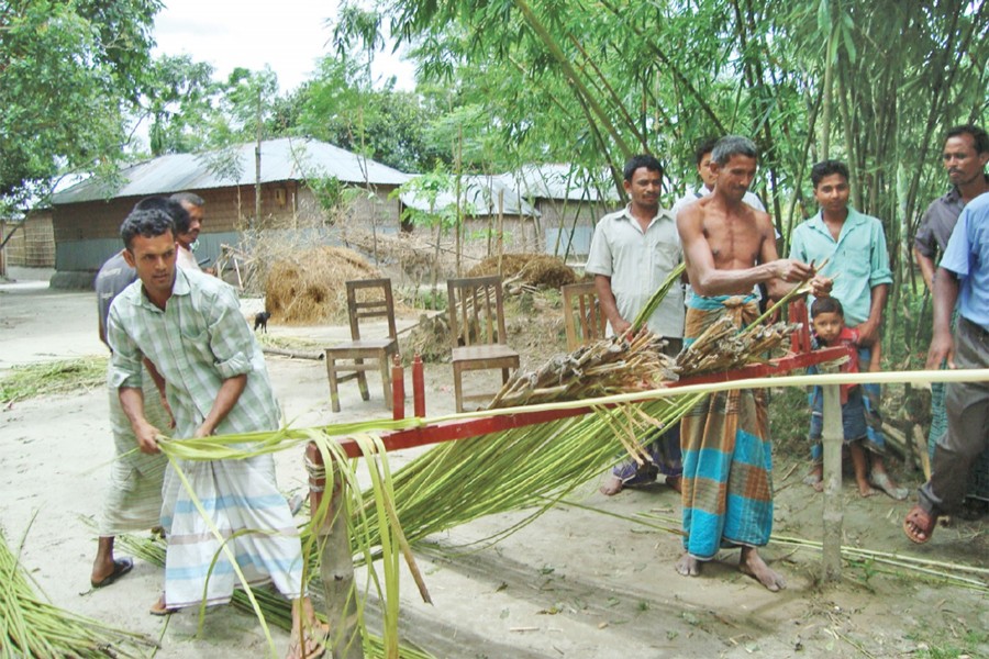 Farmers separating jute fibre from stalks by a ribbon retting device in Nilphamari on Monday — FE Photo