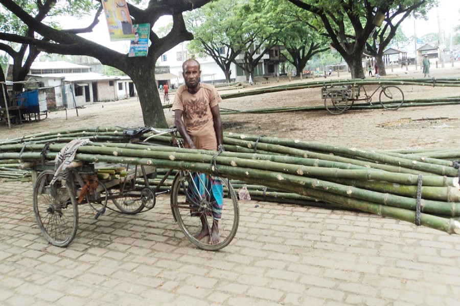 A vendor waiting with bamboos on his van for customers in Bogura on Wednesday — FE Photo