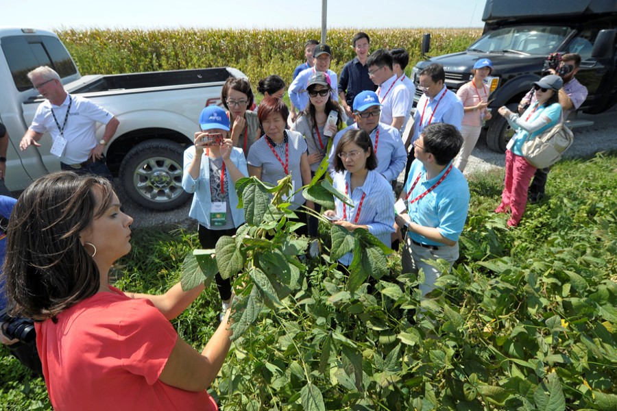 Members of a Chinese trade delegation looking over a soybean field during a tour of the Kaiser farm near Norborne, Missouri, US recently — Reuters