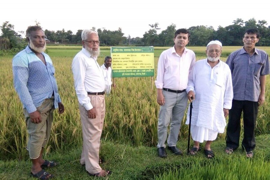 Officials and other guests visiting a demonstration paddy field of DAE in Golapganj upazila in Sylhet recently — FE Photo