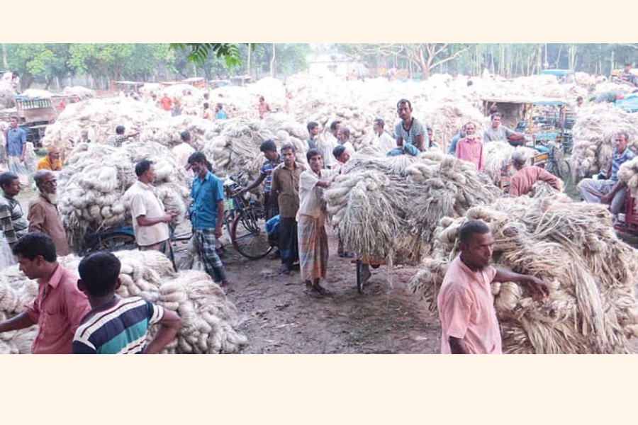 A view of a jute wholesale market under Sonatola upazila in Bogura — FE Photo