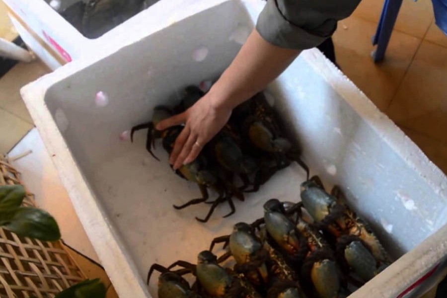 File Photo (Collected)