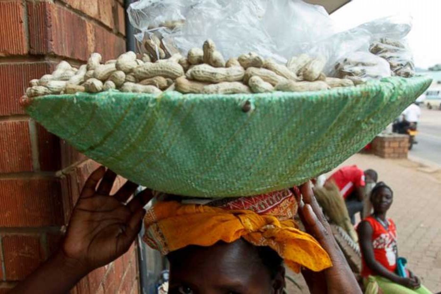 n this photo taken Saturday, Oct. 20, 2018, Irene Atenyo, 27, whose husband is involved with another woman, carries the boiled ground nuts she sells for a living on the streets of Kampala, Uganda. Millions of women across sub-Saharan Africa are still living in the complex relationships of polygamy, a centuries-old practice that once was the norm among African men seeking large families to cultivate land. - AP Photo
