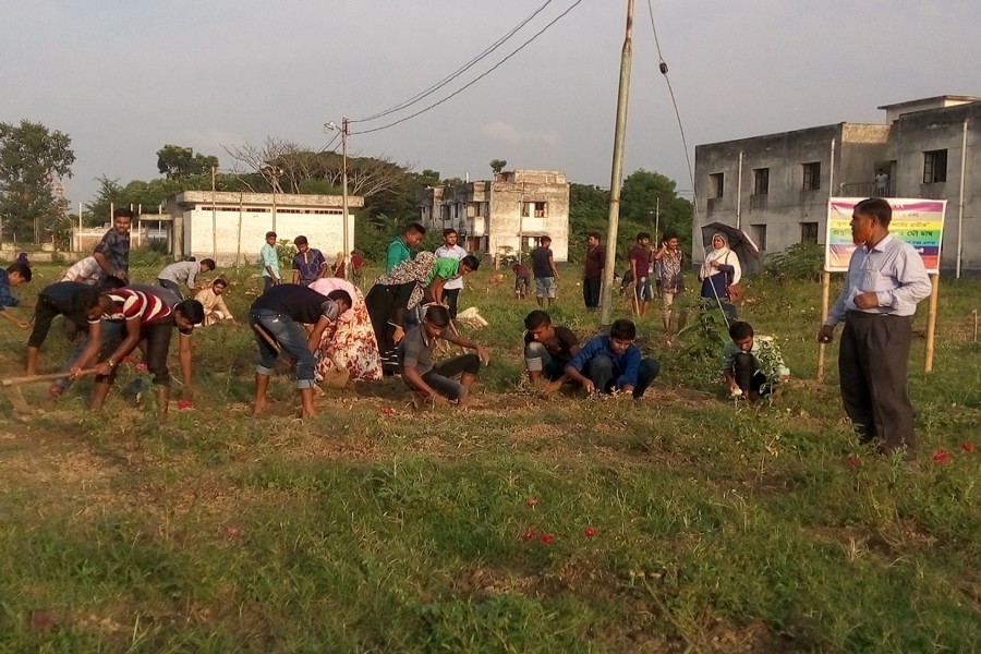 Teachers and students working in the field on the premises of Agriculture Training Institute, Jhenidah recently — FE Photo