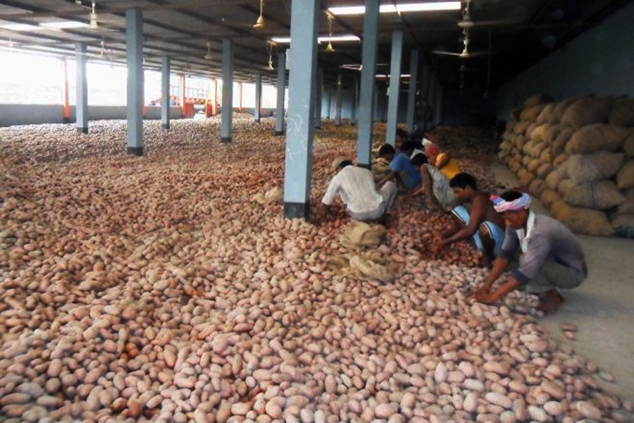 Labourers working at a cold storage in Rajshahi — FE Photo