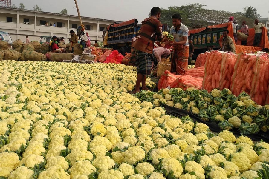 Labourers in a local wholesale market under Shibganj upazila of Bogura filling sacks with the newly-harvested cauliflowers on Thursday to transport to different areas across the country — FE Photo