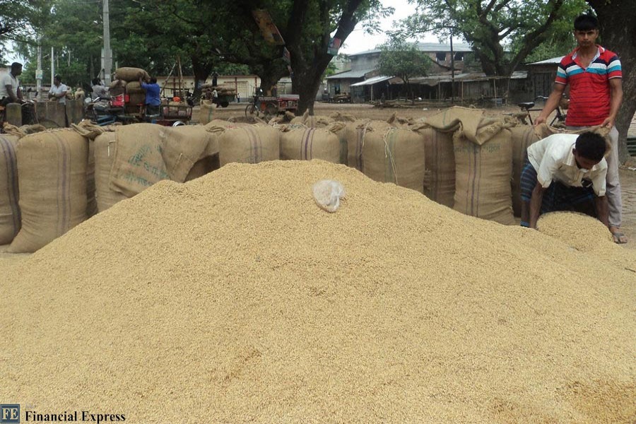 A rice wholesale market in Bogura district. The photo was snapped on Thursday (FE Photo)