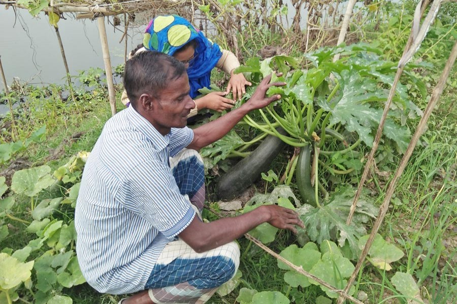 Farmers taking care of a vegetable field under Derai upazila of Sunamganj on Tuesday — FE Photo