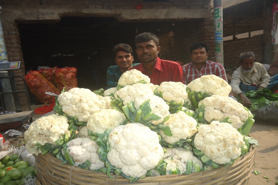 Cauliflower growers waiting for buyers in a vegetable market in the Dhaka Road area of Magura town — FE Photo
