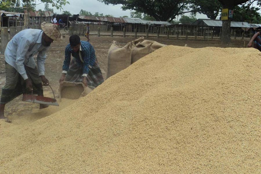Rice traders filling sacks with rice at Nischinta Haat under Khetlal upazila of Joypurhat district — FE Photo