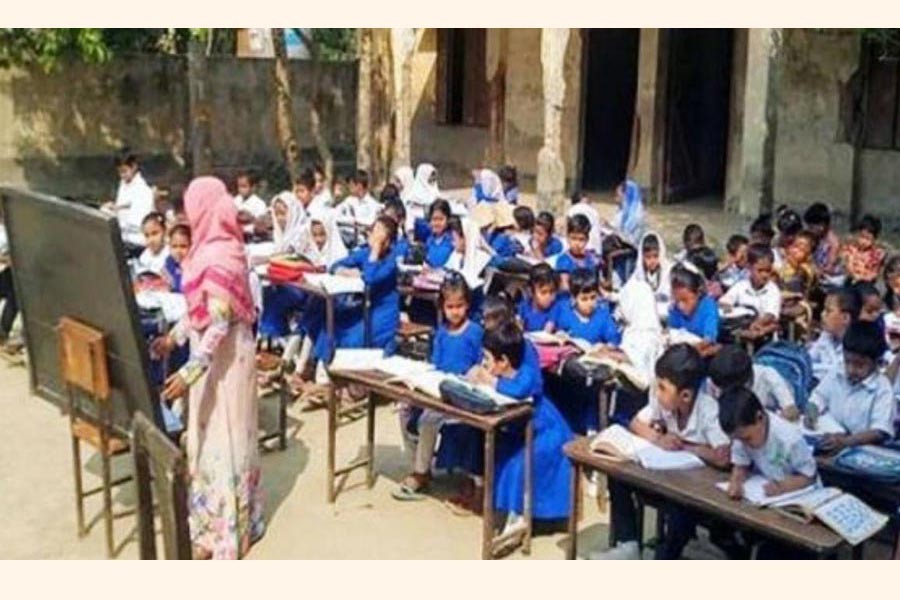 A strawberry field in Chanda village under Jamalpur union of Joypurhat Sadar — FE Photo