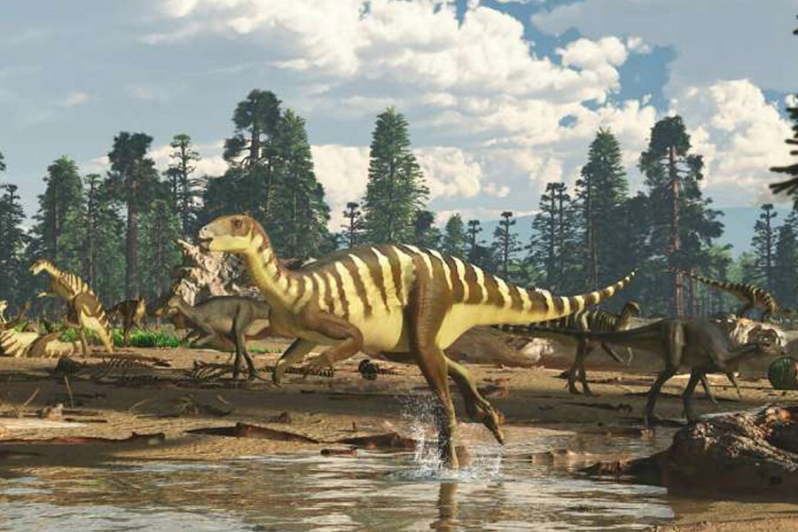Artist's impression of a Galleonosaurus dorisae herd on a riverbank in the Australian-Antarctic rift valley during the Early Cretaceous, 125 million years ago - Photo Credit: James Kuether