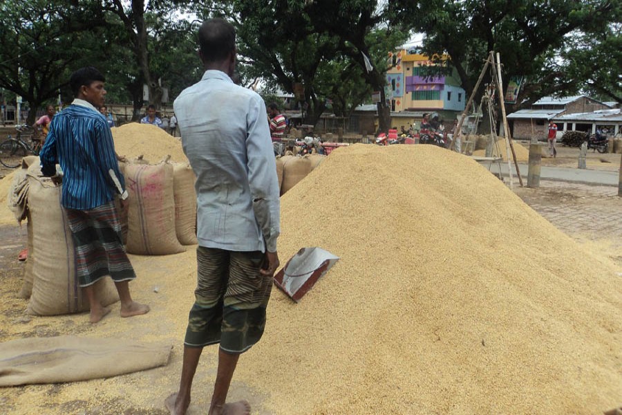 A partial view of a wholesale rice market under Kazipur upazila of Sirajganj — FE Photo