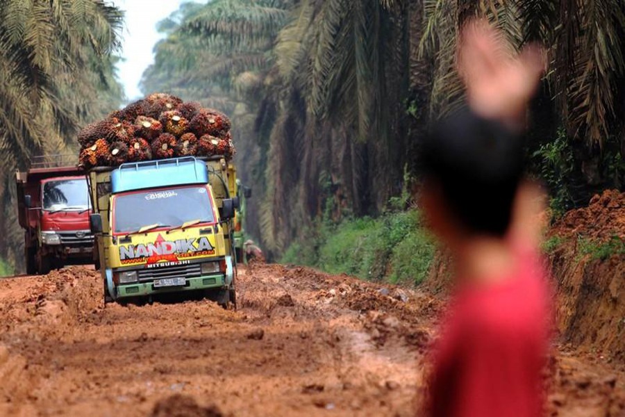 Trucks carrying palm oil fruit on a damaged road at Mesuji Raya village in Ogan Komering Ilir, South Sumatra province, Indonesia — Reuters