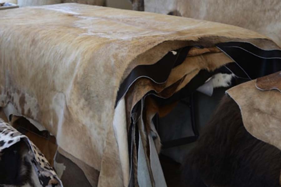 File Photo (Collected)