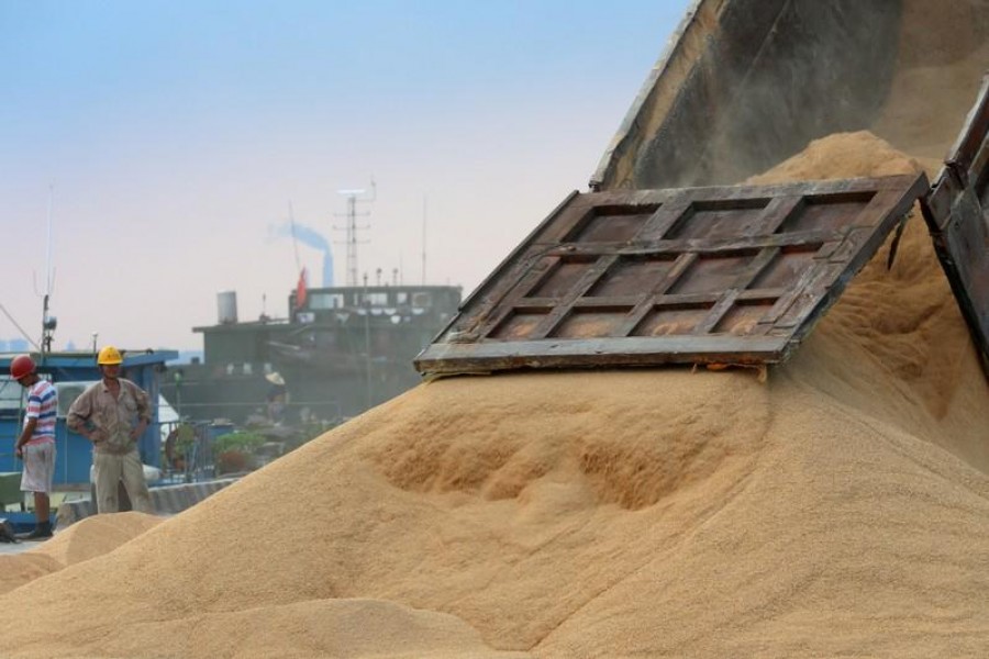 FILE PHOTO: worker looks on as imported soybeans are transported at a port in Nantong, Jiangsu province, China August 6, 2018. Picture taken August 6, 2018. REUTERS/Stringer