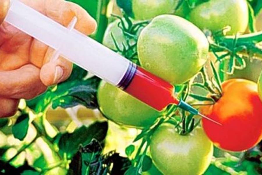 - File photo (Collected)